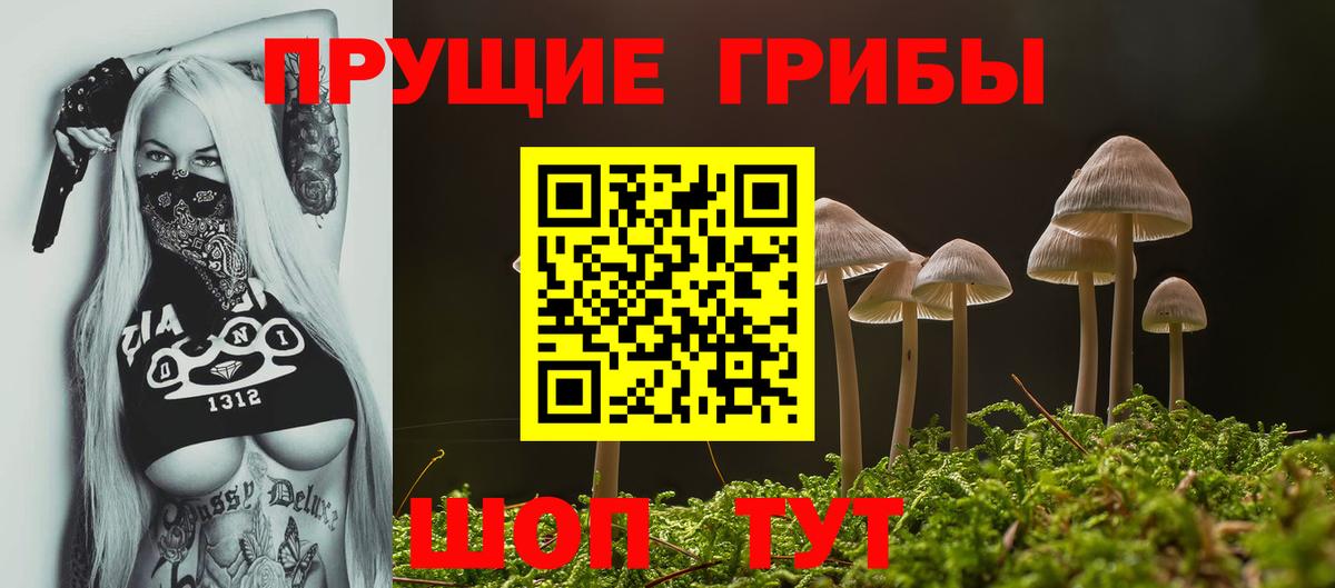 сколько стоит  Галлюциногенные грибы Magic Shrooms  Вход с VPN  Нефтекумск 